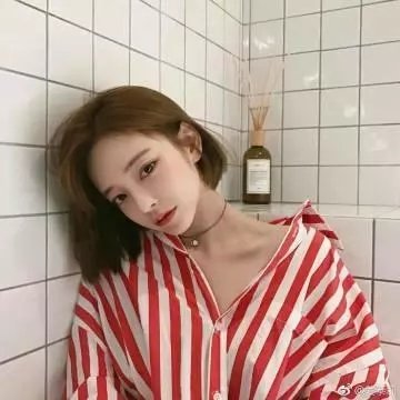 四季之春